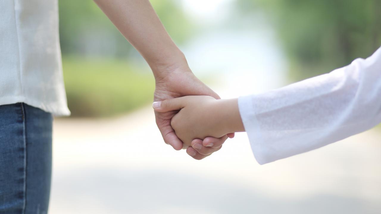 'Aile Yılı'nda vatandaşların hayatına dokunacak müjdeler olacak